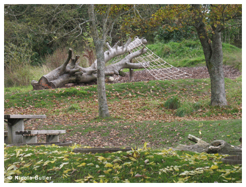 Balmaha Play Landscape