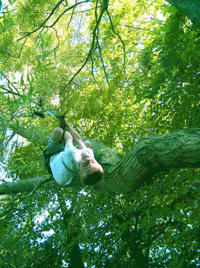 Click to return to the exhibition